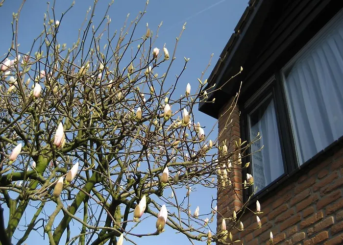 De Mozaiektegel * Uden